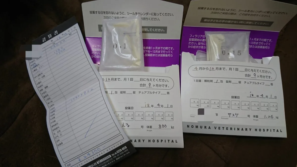 フィラリアに寄生されたフェレットの心臓【写真】レボリューションの使い方投薬時期