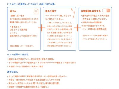フェレットを脱走させた探し方手順